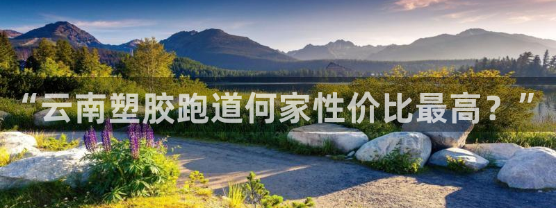 红足1世手机板：“云南塑胶跑道何家性价比最高？”