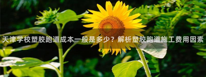 红足一1世开奖记录：天津学校塑胶跑道成本一般是多少？解析塑胶跑道施工费用因素