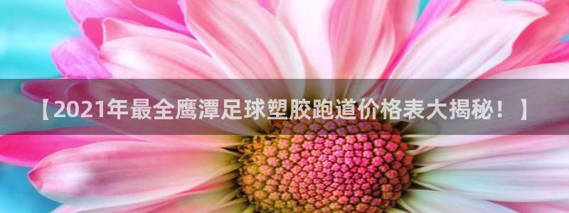 红足1世手机版下载：【2021年最全鹰潭足球塑胶跑道价格表大揭秘！】