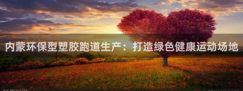 777814红·足一世比分：内蒙环保型塑胶跑道生产：打造绿色健康运动场地