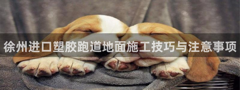 红足一1世比分球探