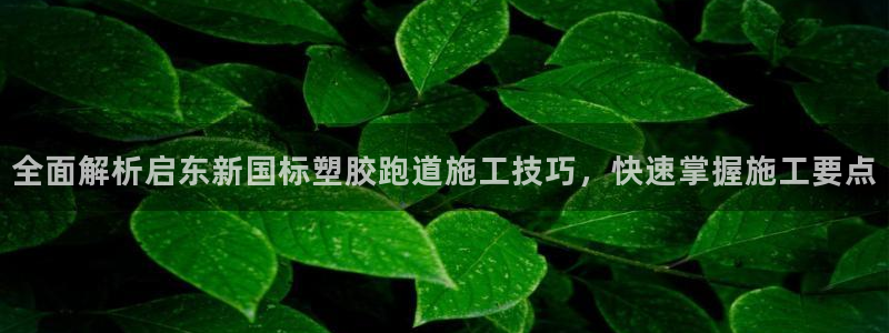 红足1世足球：全面解析启东新国标塑胶跑道施工技巧，快速掌握施工要点