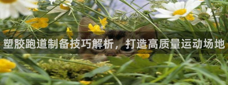 红足1世1站：塑胶跑道制备技巧解析，打造高质量运动场地