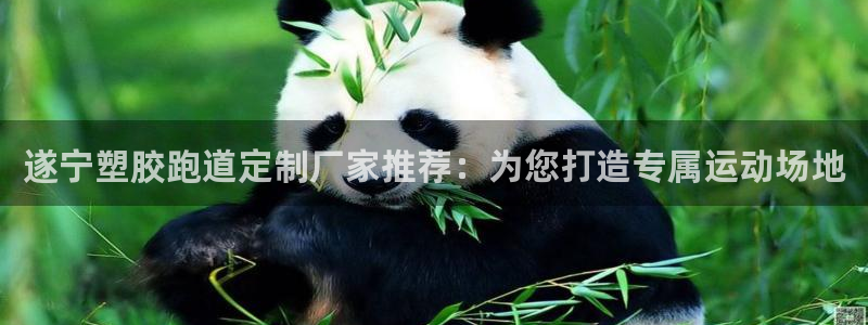 百度红足一1使用说明：遂宁塑胶跑道定制厂家推荐：为您打造专属运动场地