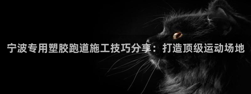红足1世手机板：宁波专用塑胶跑道施工技巧分享：打造顶级运动场地