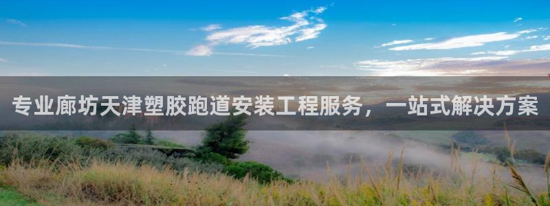 红足一1世平台：专业廊坊天津塑胶跑道安装工程服务，一站式解决方案