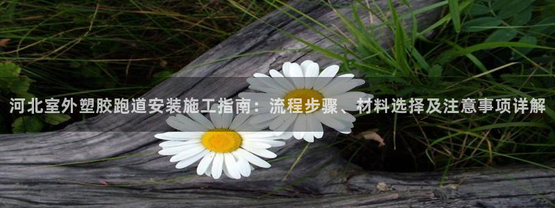 红足1世1站：河北室外塑胶跑道安装施工指南：流程步骤、材料选择及注意事项详解