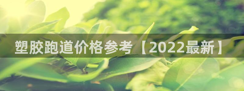 红足1一世开奖版：塑胶跑道价格参考【2022最新】