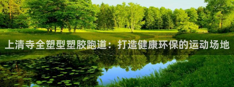 777814红·足一世比分篮球：上清寺全塑型塑胶跑道：打造健康环保的运动场地