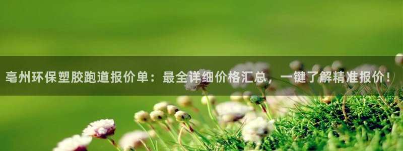 红足1世手机板：亳州环保塑胶跑道报价单：最全详细价格汇总，一键了解精准报价！