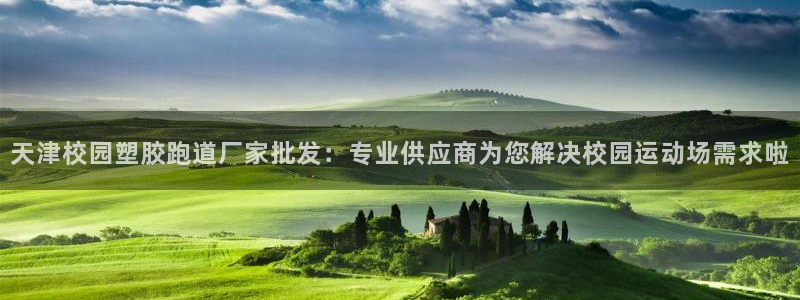 红足1一世 2站：天津校园塑胶跑道厂家批发：专业供应商为您解决校园运动场需求啦