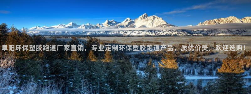 777814红·足一世比分篮球