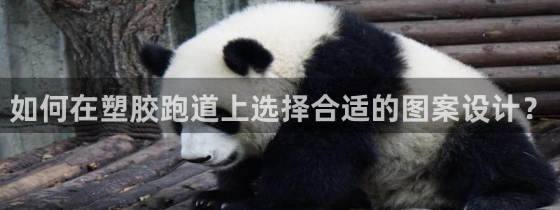 红足1世足球比分预测