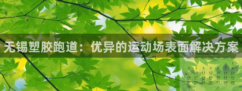 百度红足一1是干什么的：无锡塑胶跑道：优异的运动场表面解决方案