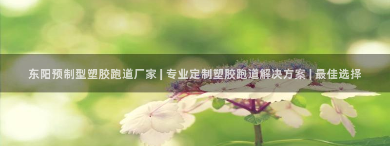 红足一1世66814新宝
