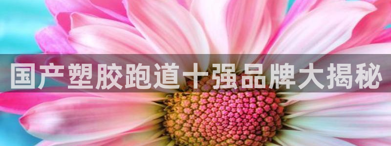 百度红足一1是为什么：国产塑胶跑道十强品牌大揭秘