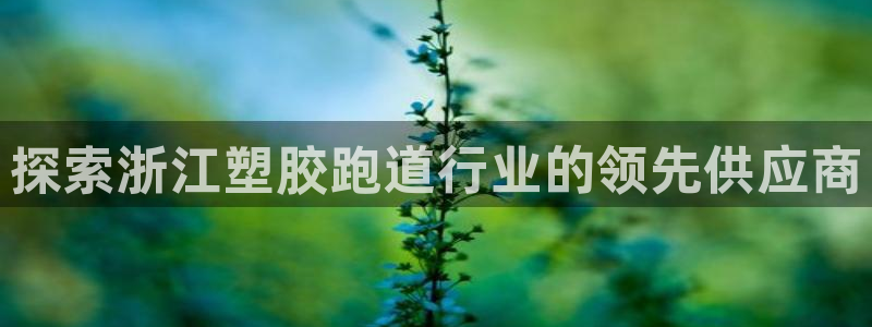 新2足球平台出租网站