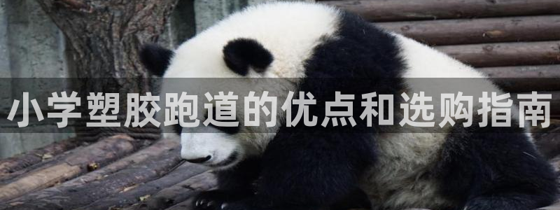 红足一1世66814：小学塑胶跑道的优点和选购指南