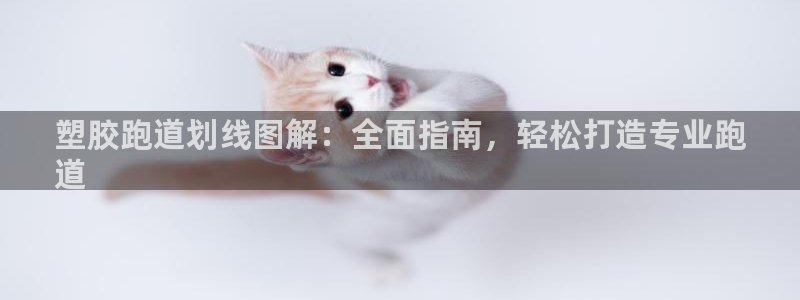 红足一1世官网：塑胶跑道划线图解：全面指南，轻松打造专业跑
道