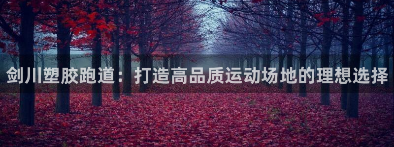 333814红足1世：剑川塑胶跑道：打造高品质运动场地的理想选择