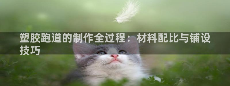 红足一1世手机版新皇冠：塑胶跑道的制作全过程：材料配比与铺设
技巧