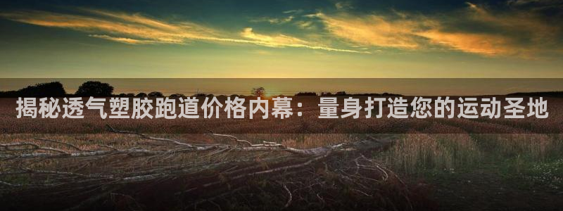 红姐现场直播开奖记录：揭秘透气塑胶跑道价格内幕：量身打造您的运动圣地