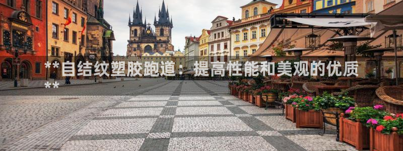 红足一1世：**自结纹塑胶跑道：提高性能和美观的优质
**