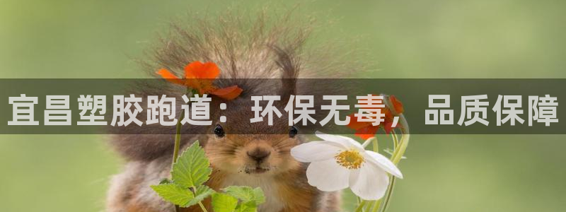 红足1世足球网址大全：宜昌塑胶跑道：环保无毒，品质保障