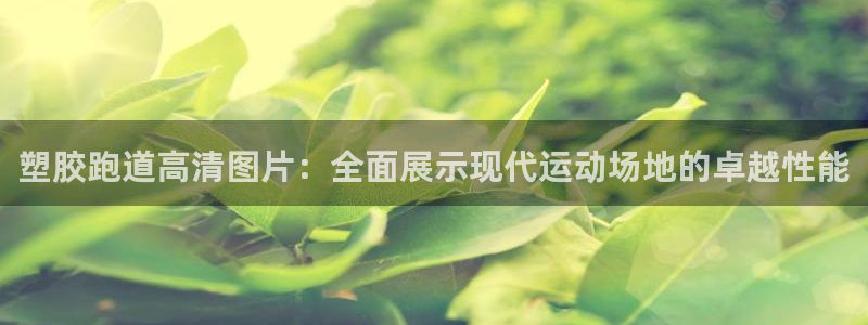 红足 世足球手机网：塑胶跑道高清图片：全面展示现代运动场地的卓越性能