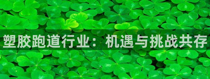 红足一1世比分球探：塑胶跑道行业：机遇与挑战共存