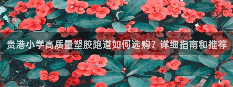 红足1世足球：贵港小学高质量塑胶跑道如何选购？详细指南和推荐