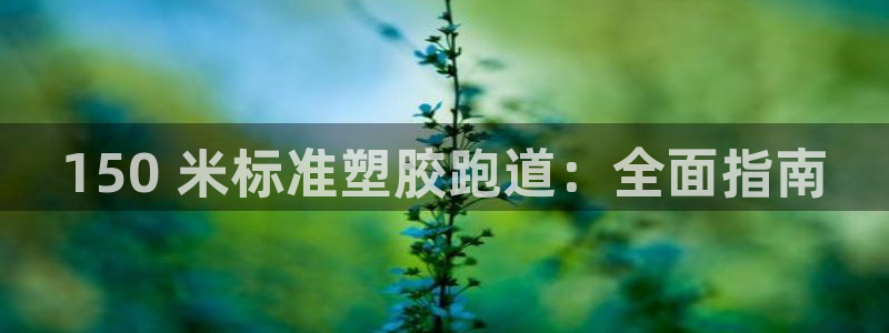 百度红足一1是为什么：150 米标准塑胶跑道：全面指南