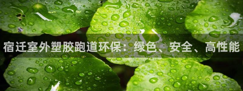 红足1一世红：宿迁室外塑胶跑道环保：绿色、安全、高性能