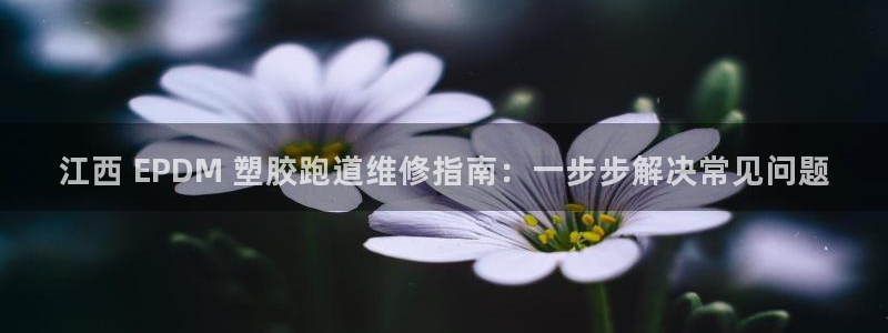 红足一球