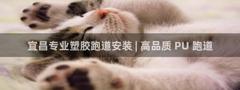 红足1世足球比分网址