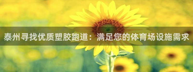 红世一足球比分：泰州寻找优质塑胶跑道：满足您的体育场设施需求