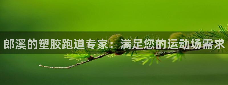 红足1世足球网址大全：郎溪的塑胶跑道专家：满足您的运动场需求