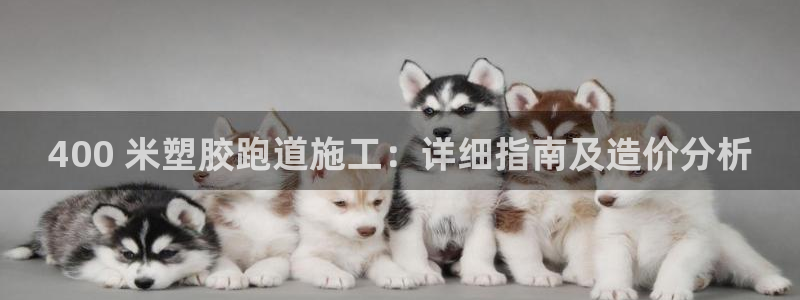 333814红·足一世比分：400 米塑胶跑道施工：详细指南及造价分析
