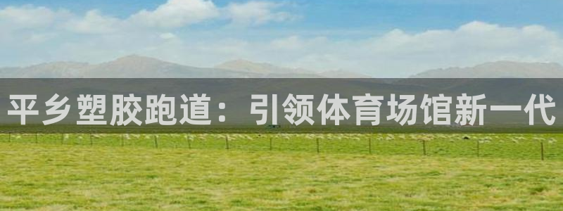 55814红足1世：平乡塑胶跑道：引领体育场馆新一代