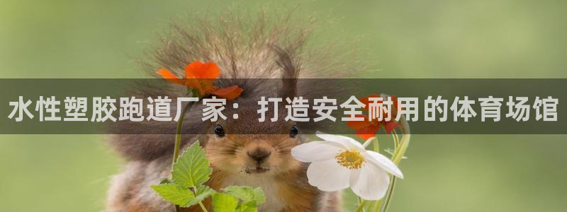 红足一1世666814足球比分网