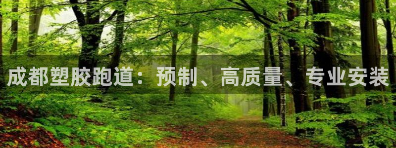 红足1世足球：成都塑胶跑道：预制、高质量、专业安装