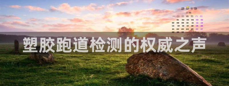 66814红足一66814世：塑胶跑道检测的权威之声
