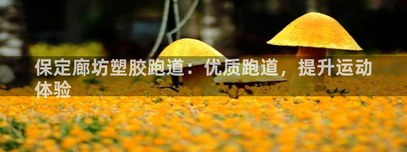 红足 世足球手机网：保定廊坊塑胶跑道：优质跑道，提升运动
体验