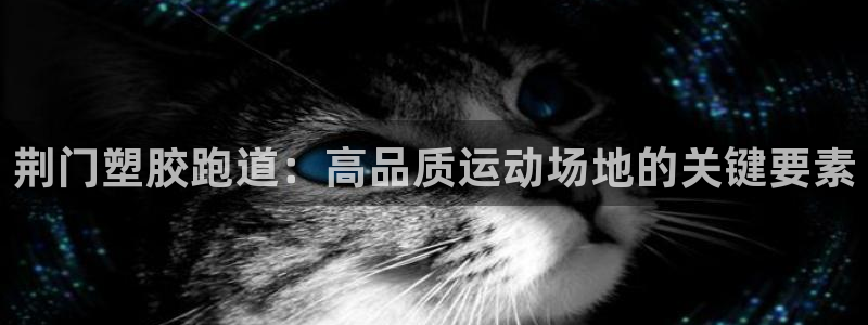 333814红足1世