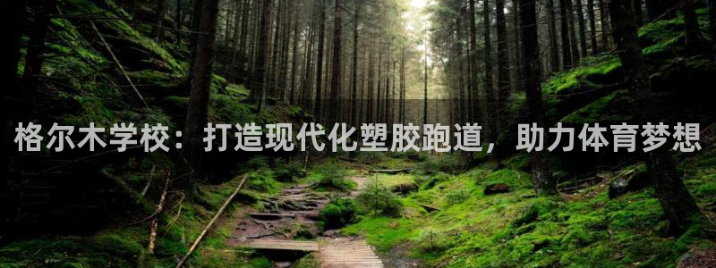红足一1世666814足球：格尔木学校：打造现代化塑胶跑道，助力体育梦想