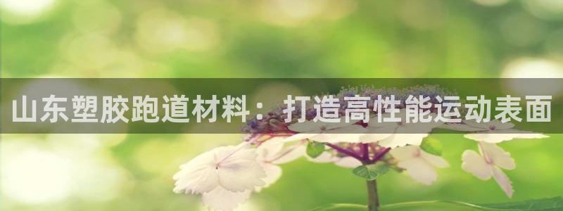 红足一1世手机版赛果：山东塑胶跑道材料：打造高性能运动表面