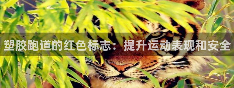 红足网足球直播：塑胶跑道的红色标志：提升运动表现和安全
