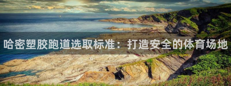 44814红足：哈密塑胶跑道选取标准：打造安全的体育场地