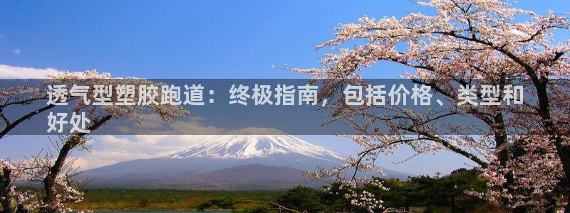 红足一球：透气型塑胶跑道：终极指南，包括价格、类型和
好处