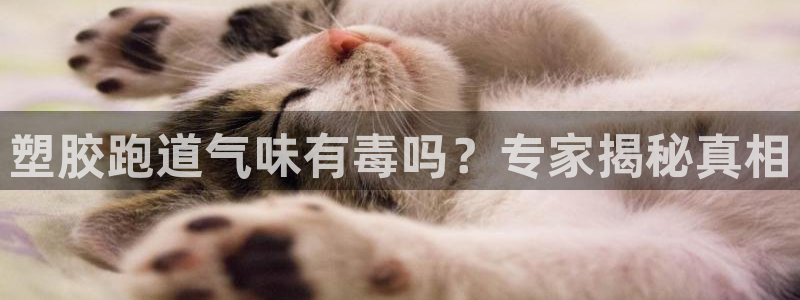 红足一1世比分网：塑胶跑道气味有毒吗？专家揭秘真相